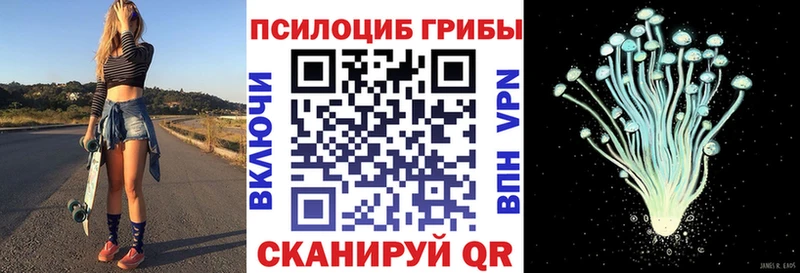 наркота  Киржач  Галлюциногенные грибы ЛСД 