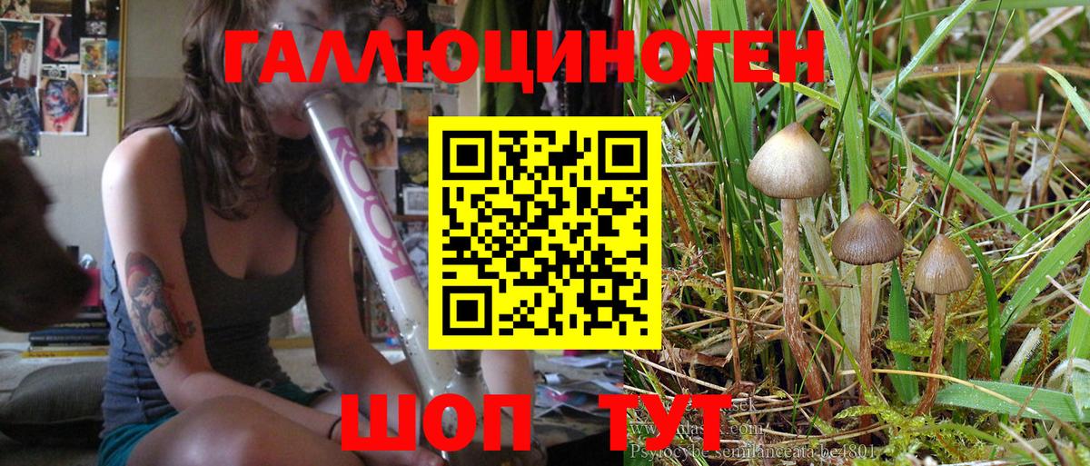 Псилоцибиновые грибы ЛСД Киржач