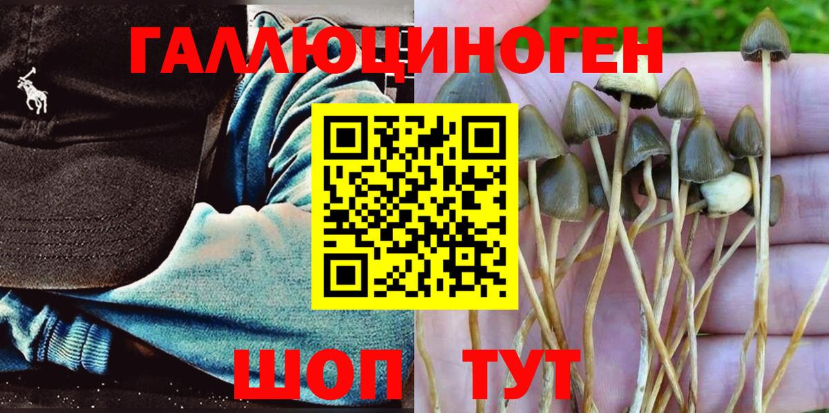 Галлюциногенные грибы ЛСД  Вход с VPN  Киржач 