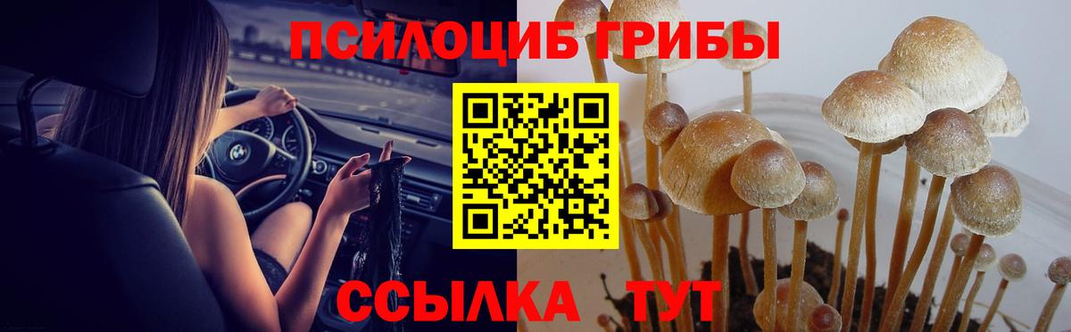 Псилоцибиновые грибы мухоморы Киржач
